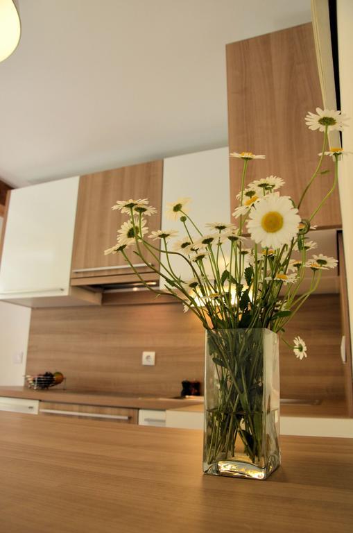 Abc Apartments Kamnik Extérieur photo